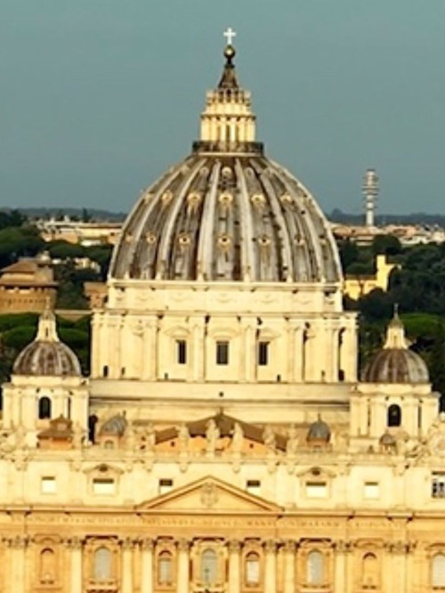 The dome of St. Peters is turning black!